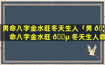 男命八字金水旺冬天生人「男 🦁 命八字金水旺 🐵 冬天生人命好吗」